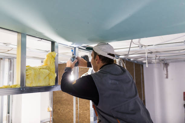 Best Insulation Maintenance and Repair in Cabana Colony, FL