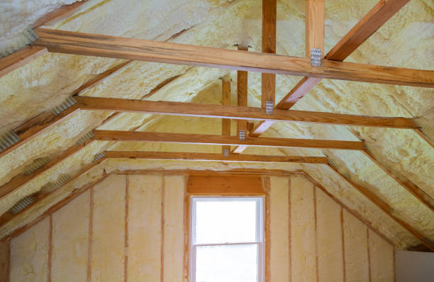 Best Insulation Maintenance and Repair in Cabana Colony, FL