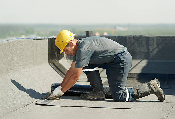 Best Commercial Insulation in Cabana Colony, FL