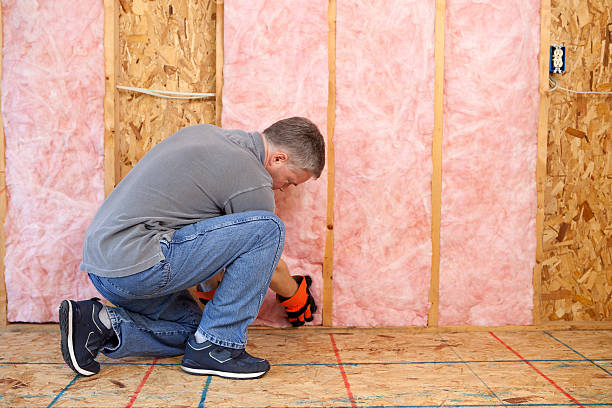 Best Insulation Installation Services in Cabana Colony, FL